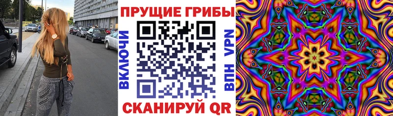 Псилоцибиновые грибы прущие грибы  Купить закладки  Горбатов 